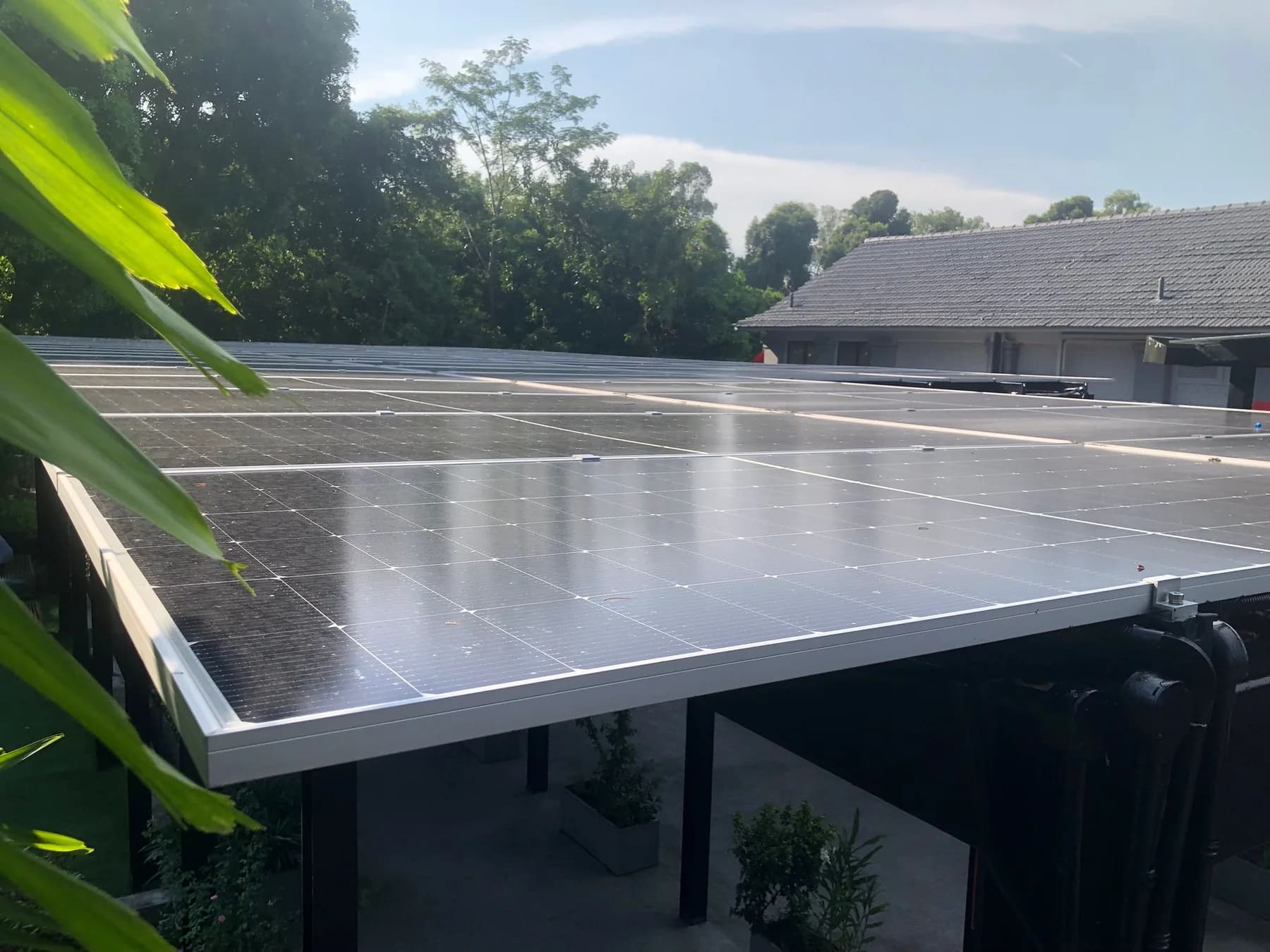 Solar-panel canopy connecting the Huber’s Butchery redevelopment