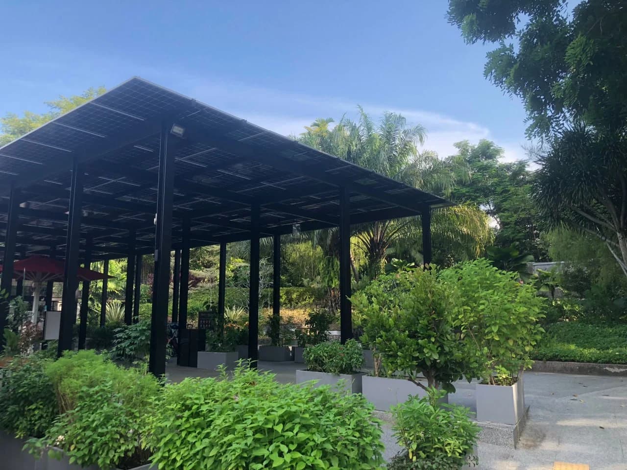 Solar-panel canopy set within the landscaped Huber’s Butchery site